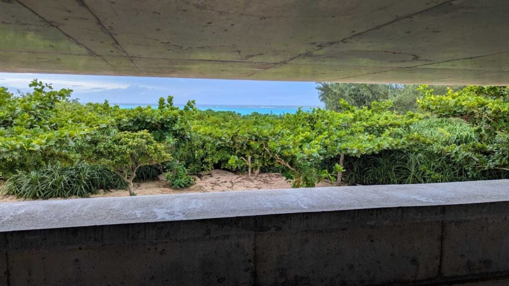 写真:施設から見える景色